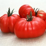 tomate huerto mini