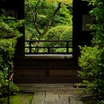 Jardín japonés ventana