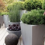 Jardín moderno macetas grises